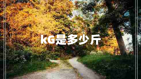 kG是多少斤