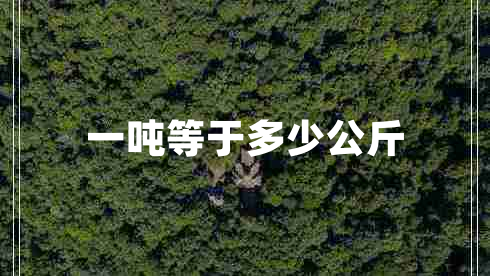 一吨等于多少公斤