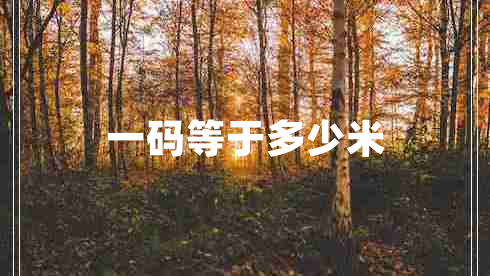 一码等于多少米