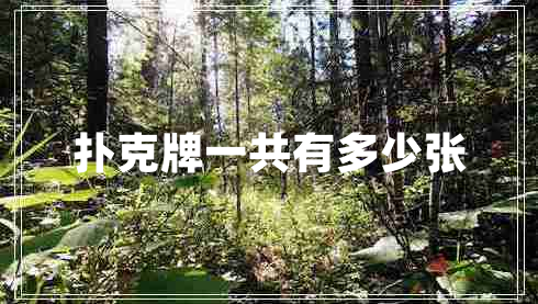 扑克牌一共有多少张