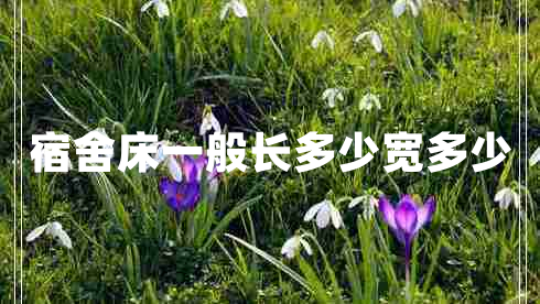 宿舍床一般长多少宽多少
