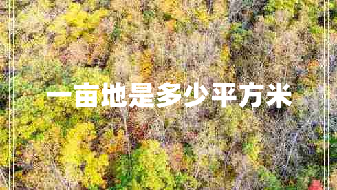 一亩地是多少平方米