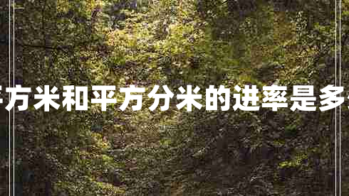 平方米和平方分米的进率是多少