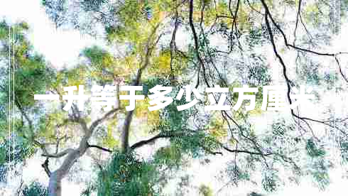 一升等于多少立方厘米