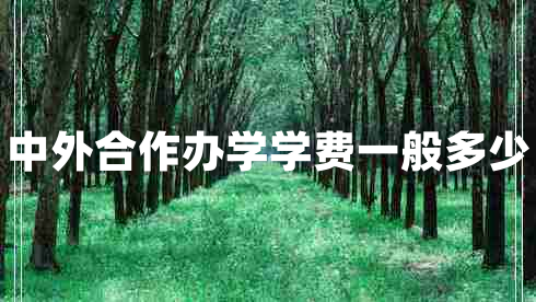 中外合作办学学费一般多少