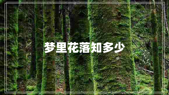 梦里花落知多少