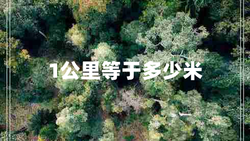 1公里等于多少米