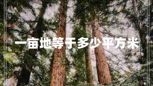 一亩地等于多少平方米