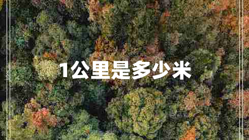 1公里是多少米
