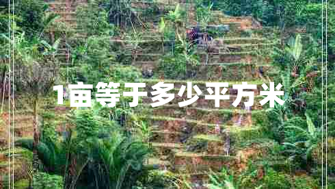 1亩等于多少平方米