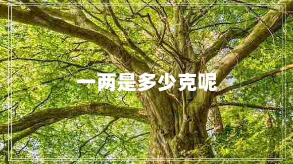 一两是多少克呢
