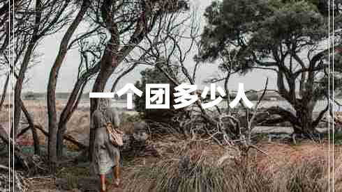一个团多少人
