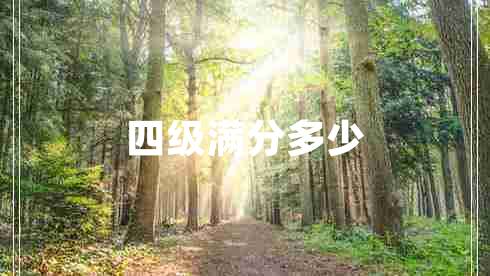 四级满分多少