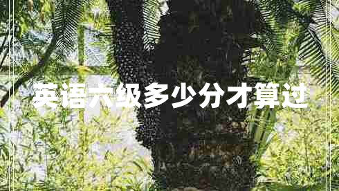 英语六级多少分才算过