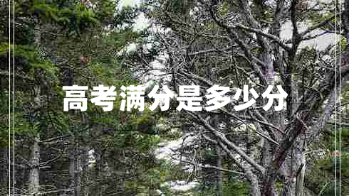 高考满分是多少分