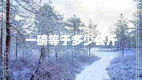 一磅等于多少公斤
