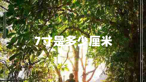 7寸是多少厘米 7寸是多少厘米