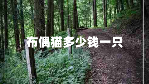 布偶猫多少钱一只