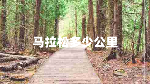 马拉松多少公里