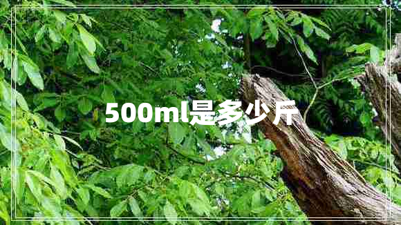 500ml是多少斤