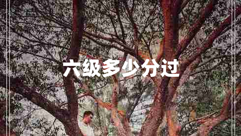 六级多少分过