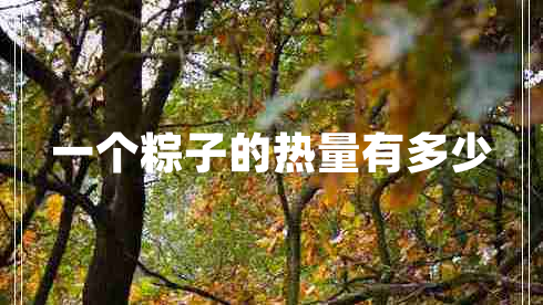 一个粽子的热量有多少