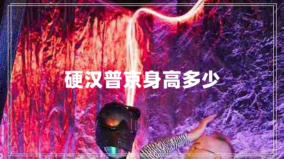 硬汉普京身高多少