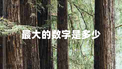 最大的数字是多少