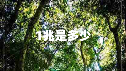 1兆是多少 1兆是多少