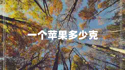 一个苹果多少克