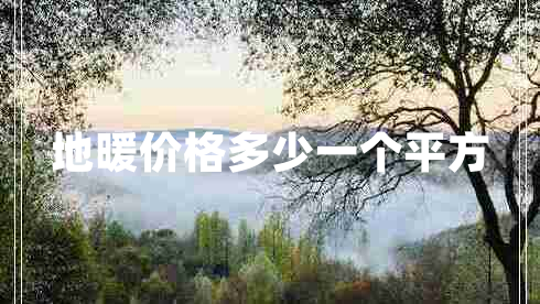 地暖价格多少一个平方