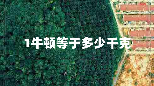1牛顿等于多少千克