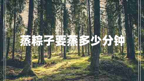 蒸粽子要蒸多少分钟
