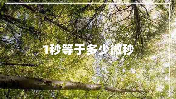 1秒等于多少微秒