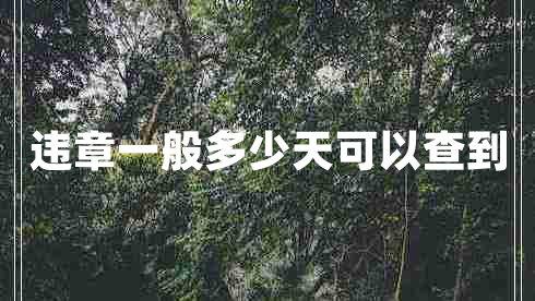 违章一般多少天可以查到