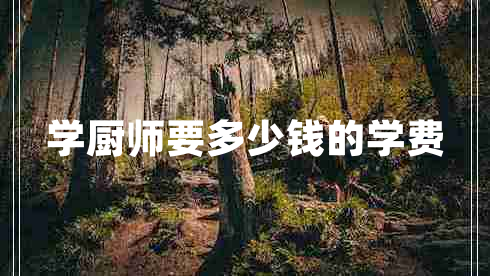 学厨师要多少钱的学费