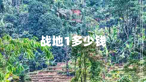战地1多少钱 战地1多少钱