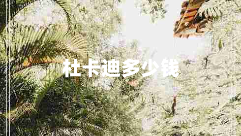 杜卡迪多少钱