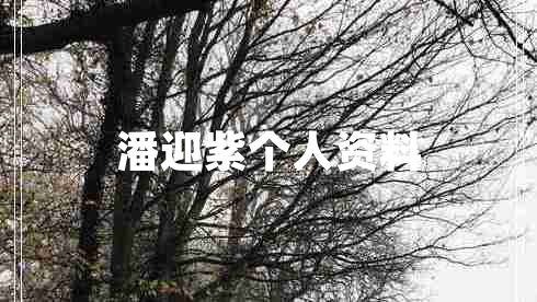 潘迎紫个人资料