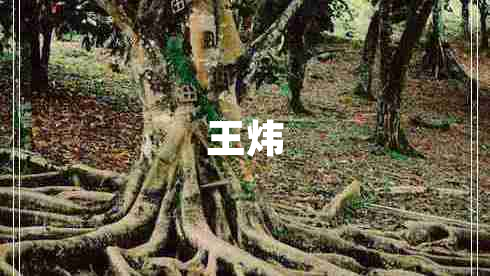 王炜