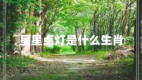 星星点灯是什么生肖