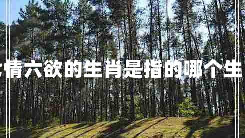 七情六欲的生肖是指的哪个生肖