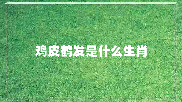 鸡皮鹤发是什么生肖
