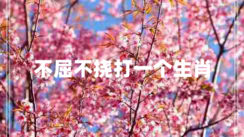 不屈不挠打一个生肖