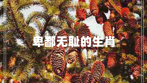 卑鄙无耻的生肖