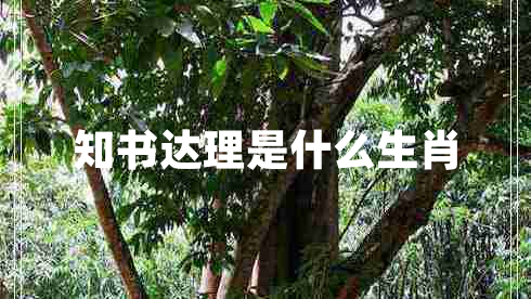 知书达理是什么生肖 知书达理是什么生肖