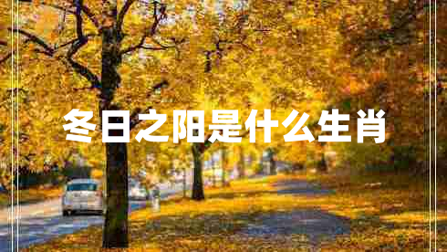 冬日之阳是什么生肖