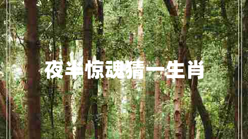 夜半惊魂猜一生肖