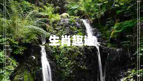 生肖趣谈
