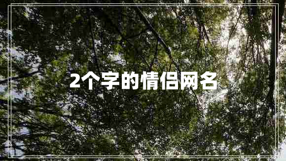 2个字的情侣网名